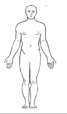 sc-5 sb-2-Anatomical Positions-Body Planesimg_no 111.jpg